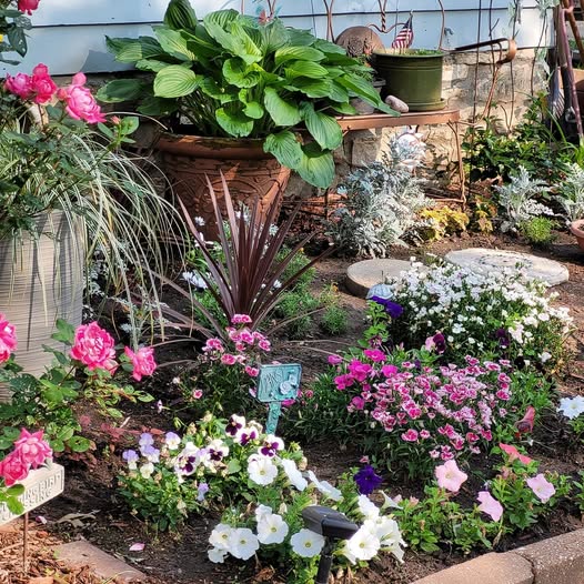 A colorful flower garden with various plants, including pink roses, petunias, and other flowering plants, alongside green foliage and decorative stones.